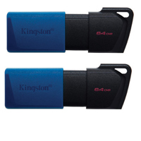 Kingston Technology DataTravel Picture