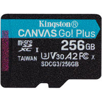 Kingston Technology Canvas Go! Picture