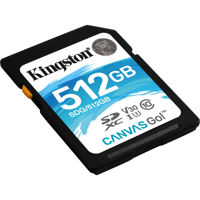 Kingston Technology 512GB Canv Picture