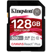 Kingston Technology Canvas Rea Picture