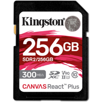 Kingston Technology Canvas Rea Picture