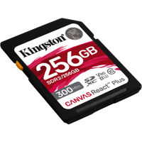 Kingston Technology Canvas Rea Picture