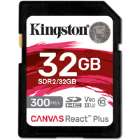Kingston Technology Canvas Rea Picture