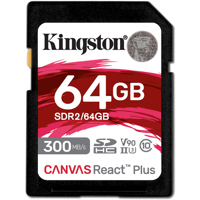 Kingston Technology Canvas Rea Picture