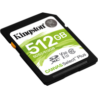 Kingston Technology Canvas Sel Picture