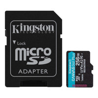 Kingston Technology Canvas Go! Picture