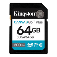 Kingston Technology Canvas Go! Picture