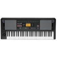 Korg EK-50 CSA Portable 61-Key Picture