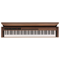 Korg Poetry 88-Key Console Dig Picture