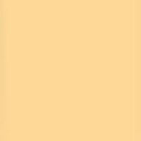 Lee Filters Straw Tint 24x21"  Picture
