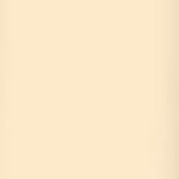 Lee Filters Straw 24x21" Gel F Picture