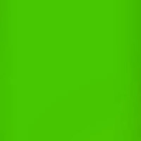 Lee Filters Primary Green 24x2 Picture