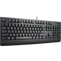 Lenovo Preferred Pro II Wired  Picture
