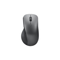 Lenovo Professional Bluetooth  Picture