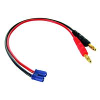 COMMON SENSE RC EC2 Charging A Picture