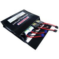COMMON SENSE RC Magnum XL Lipo Picture