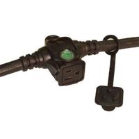 Lex E-String 15 Amp 12/3 STW N Picture