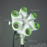 Linco Flora Fluorescent Light  Picture