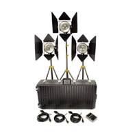 Lowel DP 3 Light Kit, 3000w Picture