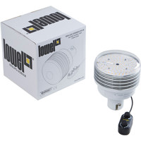Lowel Rifa LED 80W Upgrade Bul Picture