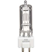 Lamp 300W/120V FKW Studio Lamp Picture