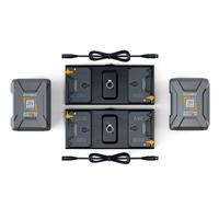 Litepanels 2x 26V 240Wh Gold-M Picture