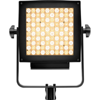 Lupo Actionpanel Dual Color LE Picture