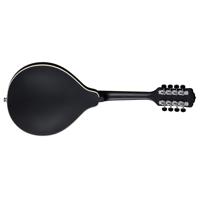Luna Moonbird A Style Acoustic Picture