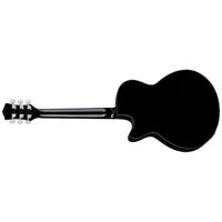 Luna Fauna Dragon Acoustic Ele Picture