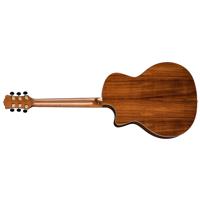 Luna Vista Eagle Tropical Wood Picture