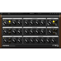 Moog Mariana Bass Synthesizer  Picture