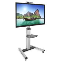 Mount-It! Heavy Duty Mobile TV Picture