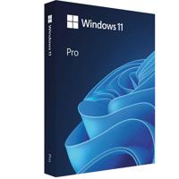 Microsoft Windows 11 Professio Picture