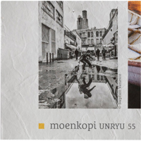 Moab Moenkopi Washi Unryu 55 I Picture