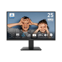 MSI PRO MP253 24.5" 16:9 Full  Picture