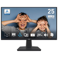 MSI PRO MP253 24.5" 16:9 Full  Picture