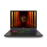MSI Vector 16 HX AI A2XWIG-050 Picture