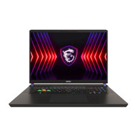 MSI Vector 17 HX A14VHG-1016US Picture