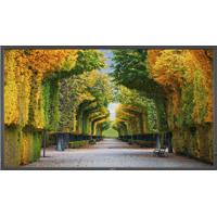 NEC X554HB 55" Full HD High Br Picture