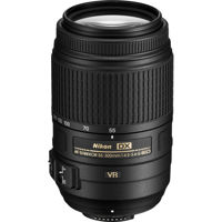 Nikon 55-300mm f/4.5-5.6G ED A Picture