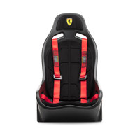 Next Level Racing Elite ES1 Sc Picture