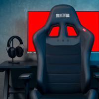 Next Level Racing Pro Leather  Picture