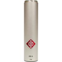 Neumann Analog Output Stage fo Picture