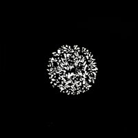 NanLite Gobo Set 2 for PJ-FZ60 Picture