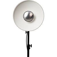 NanLite 15.9" BM40 Beauty Dish Picture
