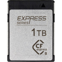 Novachips Express Series CFexp Picture