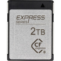 Novachips Express Series CFexp Picture