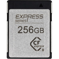 Novachips Express Series CFexp Picture
