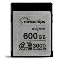 Novachips Extreme Series 600GB Picture
