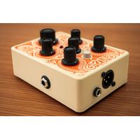 Orange Acoustic Pedal Picture